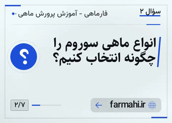 انواع ماهی سوروم را چگونه انتخاب کنیم؟