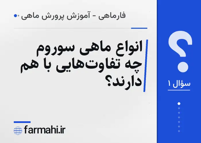 انواع ماهی سوروم چه تفاوت‌هایی با هم دارند؟