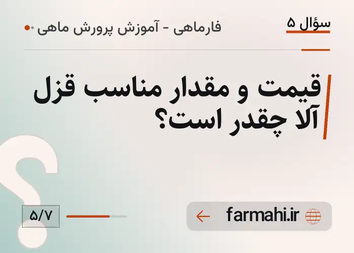 قیمت و مقدار مناسب قزل آلا چقدر است؟