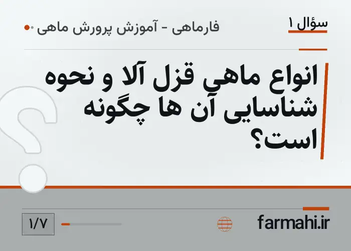 انواع ماهی قزل آلا و نحوه شناسایی آن ها چگونه است؟