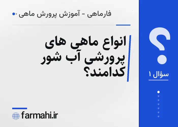 انواع ماهی های پرورشی آب شور کدامند؟