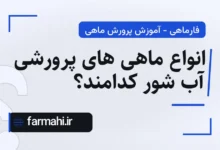 انواع ماهی های پرورشی آب شور کدامند؟