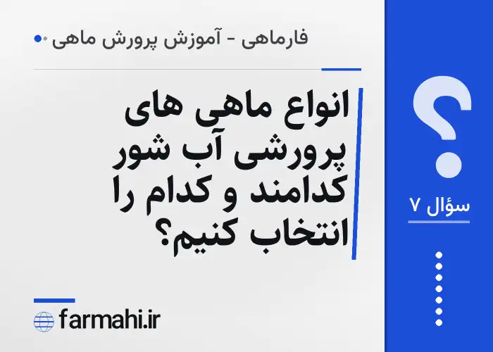 انواع ماهی های پرورشی آب شور کدامند و کدام را انتخاب کنیم؟