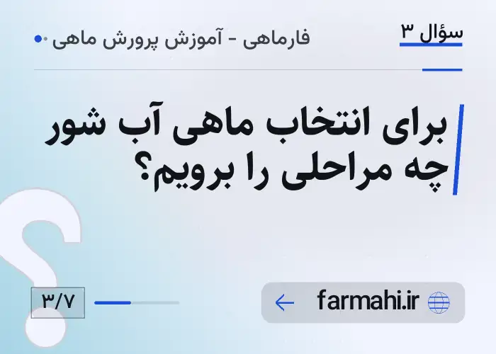 برای انتخاب ماهی آب شور چه مراحلی را برویم؟