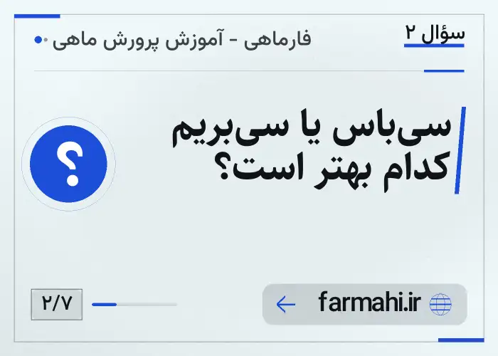 سی‌باس یا سی‌بریم کدام بهتر است؟
