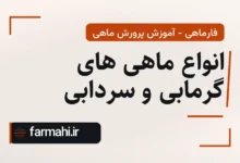 انواع ماهی های گرمابی و سردابی