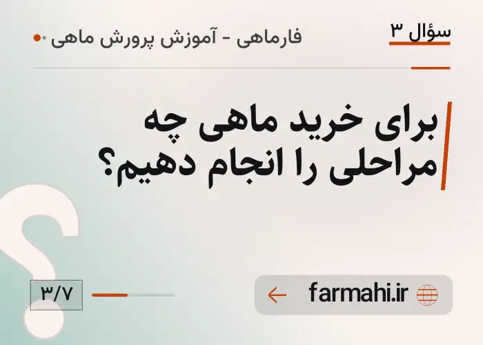 برای خرید ماهی چه مراحلی را انجام دهیم؟