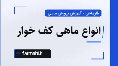 انواع ماهی کف خوار