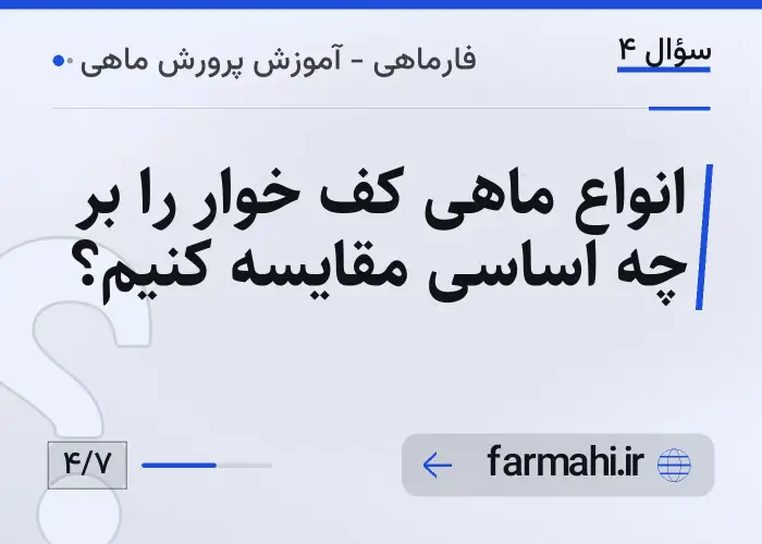 انواع ماهی کف خوار را بر چه اساسی مقایسه کنیم؟