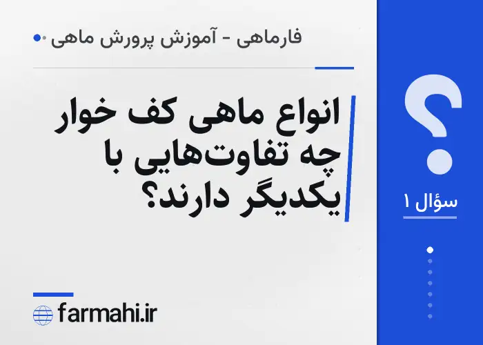 انواع ماهی کف خوار چه تفاوت‌هایی با یکدیگر دارند؟