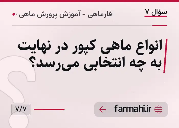 انواع ماهی کپور در نهایت به چه انتخابی می‌رسد؟