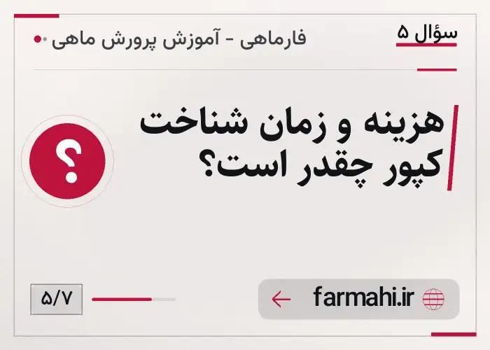 هزینه و زمان شناخت کپور چقدر است؟