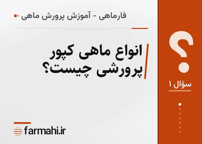 انواع ماهی کپور پرورشی چیست؟