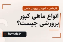 انواع ماهی کپور پرورشی چیست؟