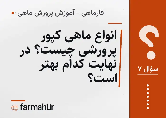 انواع ماهی کپور پرورشی چیست؟ در نهایت کدام بهتر است؟
