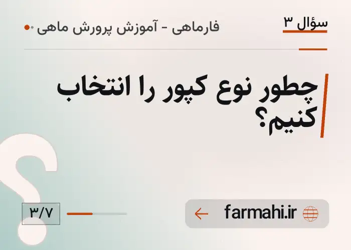 چطور نوع کپور را انتخاب کنیم؟
