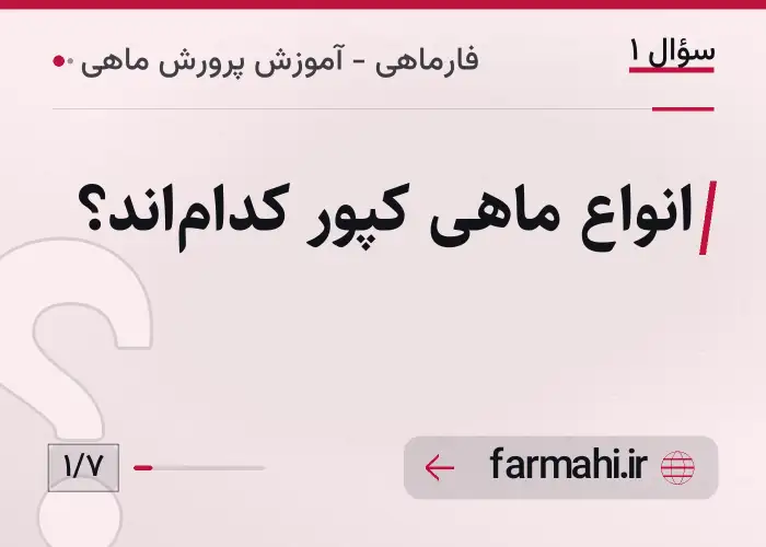 انواع ماهی کپور کدام‌اند؟