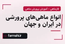 انواع ماهی‌های پرورشی در ایران و جهان