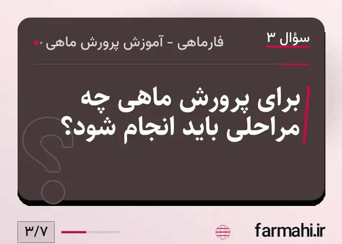 برای پرورش ماهی چه مراحلی باید انجام شود؟