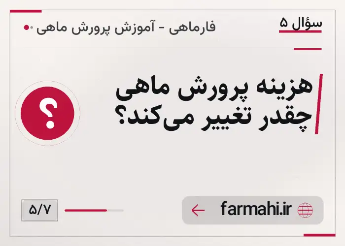 هزینه پرورش ماهی چقدر تغییر می‌کند؟