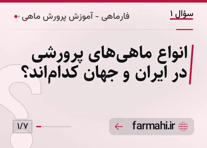 انواع ماهی‌های پرورشی در ایران و جهان کدام‌اند؟