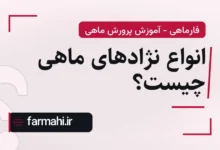 انواع نژادهای ماهی چیست؟