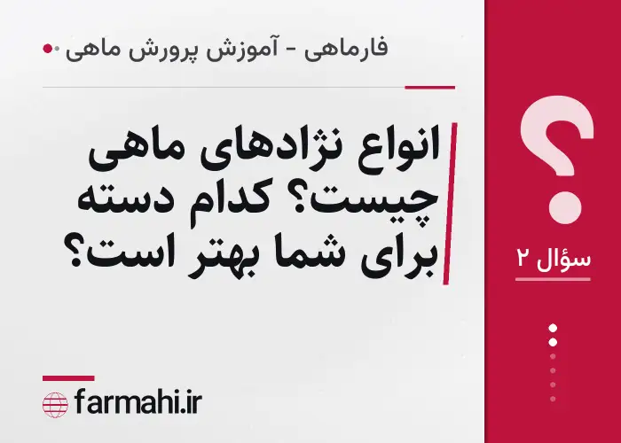 انواع نژادهای ماهی چیست؟ کدام دسته برای شما بهتر است؟