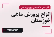 انواع پرورش ماهی خوزستان