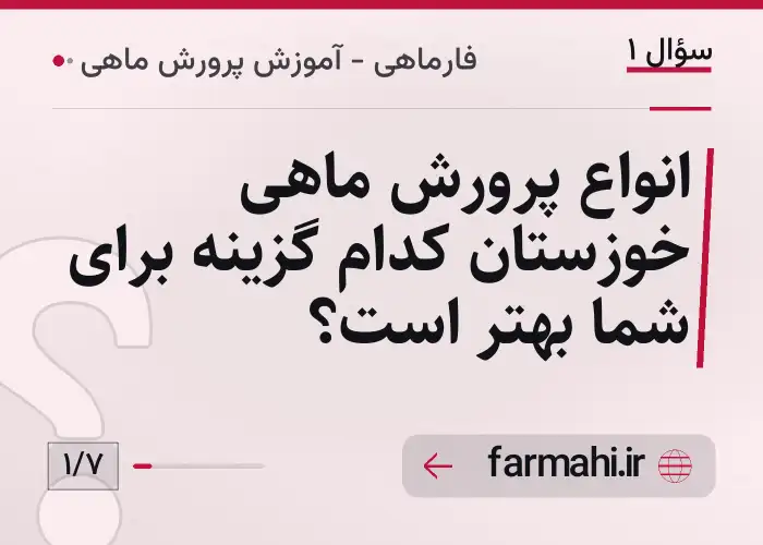 انواع پرورش ماهی خوزستان کدام گزینه برای شما بهتر است؟