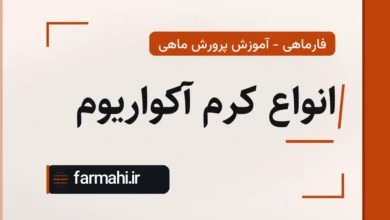 انواع کرم آکواریوم