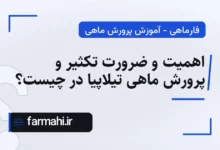 اهمیت و ضرورت تکثیر و پرورش ماهی تیلاپیا در چیست؟