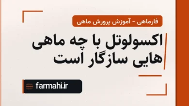 اکسولوتل با چه ماهی هایی سازگار است