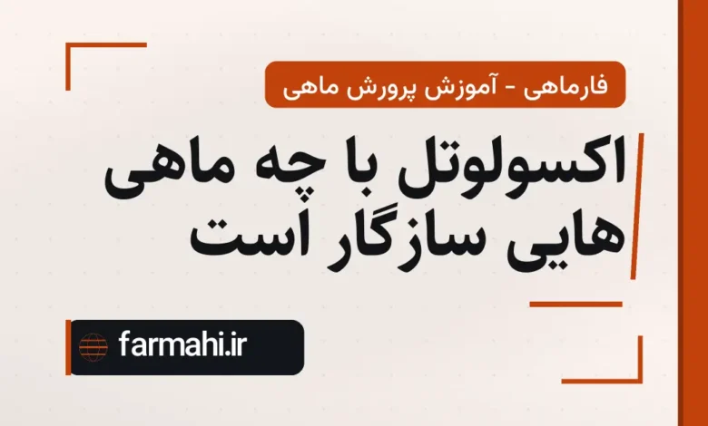 اکسولوتل با چه ماهی هایی سازگار است