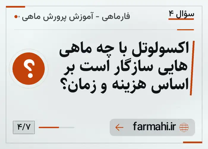 اکسولوتل با چه ماهی هایی سازگار است بر اساس هزینه و زمان؟