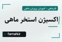 اکسیژن استخر ماهی