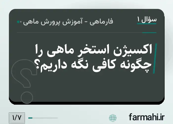 اکسیژن استخر ماهی را چگونه کافی نگه داریم؟