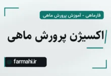 اکسیژن پرورش ماهی