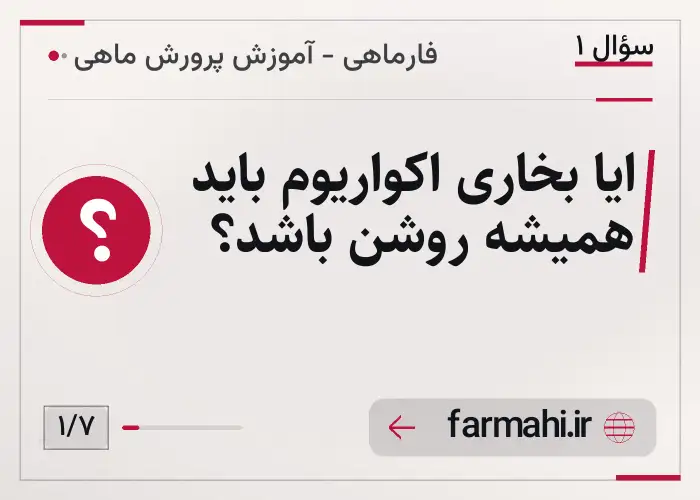 ایا بخاری اکواریوم باید همیشه روشن باشد؟