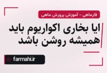 ایا بخاری اکواریوم باید همیشه روشن باشد