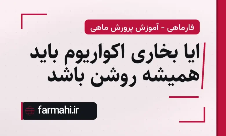 ایا بخاری اکواریوم باید همیشه روشن باشد