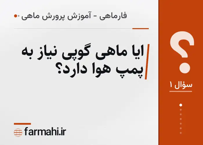 ایا ماهی گوپی نیاز به پمپ هوا دارد؟