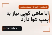 ایا ماهی گوپی نیاز به پمپ هوا دارد