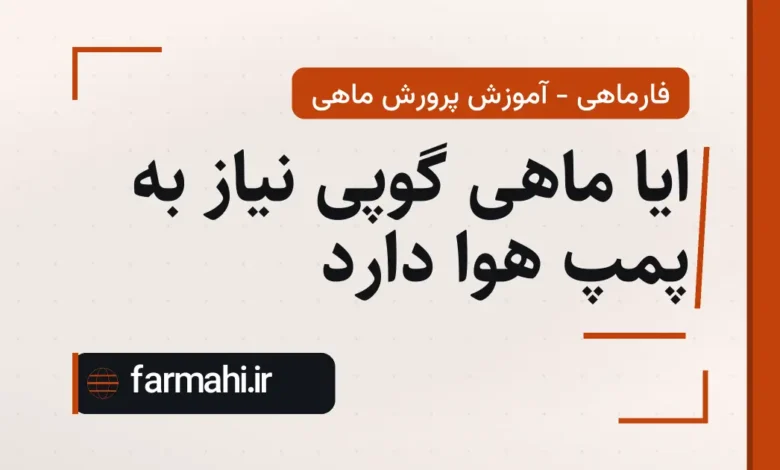 ایا ماهی گوپی نیاز به پمپ هوا دارد
