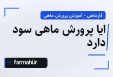 ایا پرورش ماهی سود دارد