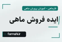 ایده فروش ماهی