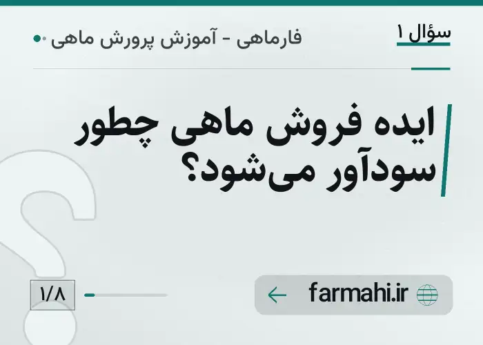 ایده فروش ماهی چطور سودآور می‌شود؟