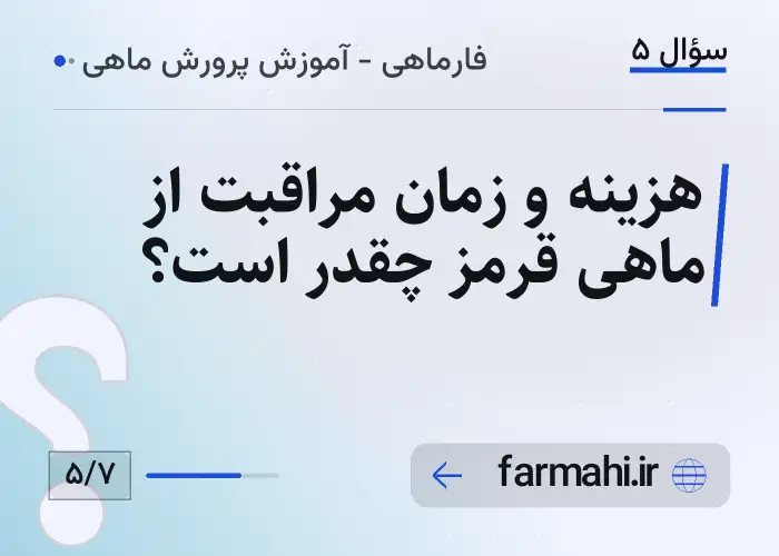 هزینه و زمان مراقبت از ماهی قرمز چقدر است؟