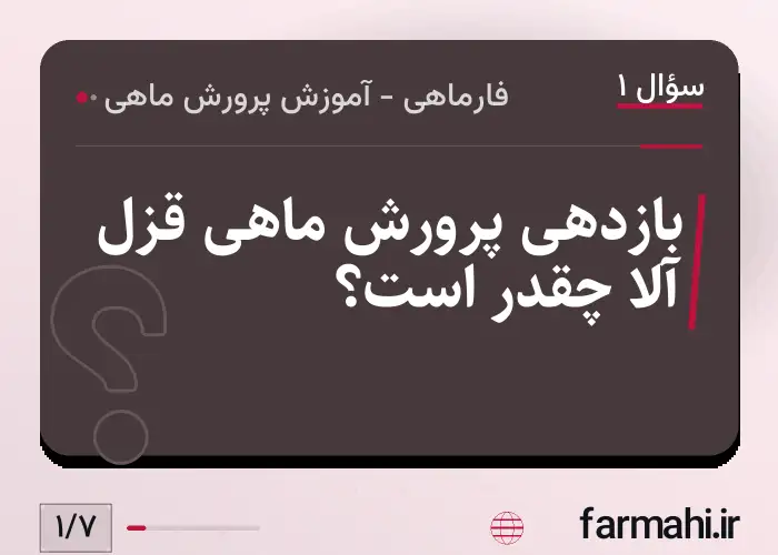 بازدهی پرورش ماهی قزل آلا چقدر است؟