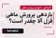 بازدهی پرورش ماهی قزل آلا چقدر است؟