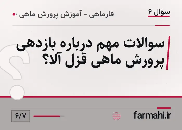 سوالات مهم درباره بازدهی پرورش ماهی قزل آلا؟